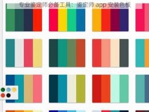 专业鉴定师必备工具：鉴定师 app 安装色板