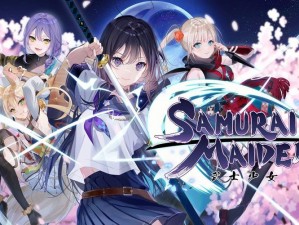 武士少女游戏价格揭秘：探究武士少女在Steam上的售价