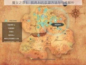 魔女之泉3：肌肉利的获取方法与地点解析