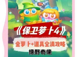 保卫萝卜迅玩版第17关攻略大全：图解步骤助你轻松过关