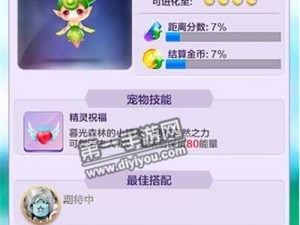 天天酷跑3D星星小马与星星小豹对比评测：实测数据揭示哪个更优秀？