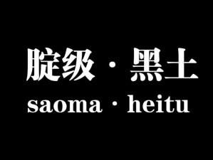 黑土网是一个提供各类信息的网站，网址是：www.heitu.com