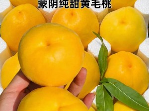 蒙阴蜜桃，个大、汁多、味甜，是不可错过的水果佳品