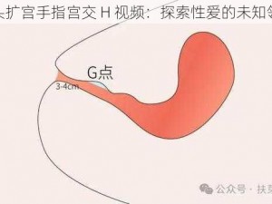 拳头扩宫手指宫交 H 视频：探索性爱的未知领域