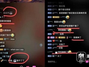 黄色 APP 入口——提供成人视频和互动直播服务