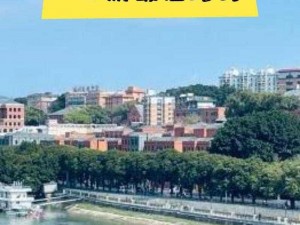 爱情岛线路 1 线路 2 线路 3——让你畅游浪漫爱情之岛