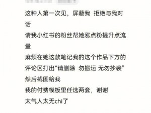 51sao 被指抄袭：动画界的道德争议