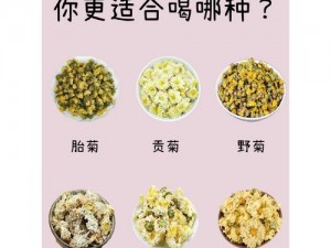 菊花开过和没开过的区别、菊花未开与盛放有何区别？