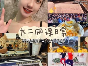 ACCA 少女网课视频 2023：带你高效学习，轻松通过 ACCA 考试