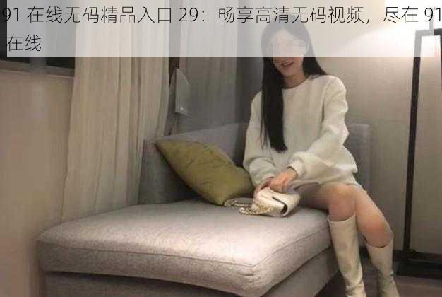 91 在线无码精品入口 29：畅享高清无码视频，尽在 91 在线