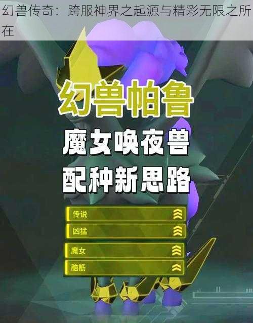 幻兽传奇：跨服神界之起源与精彩无限之所在