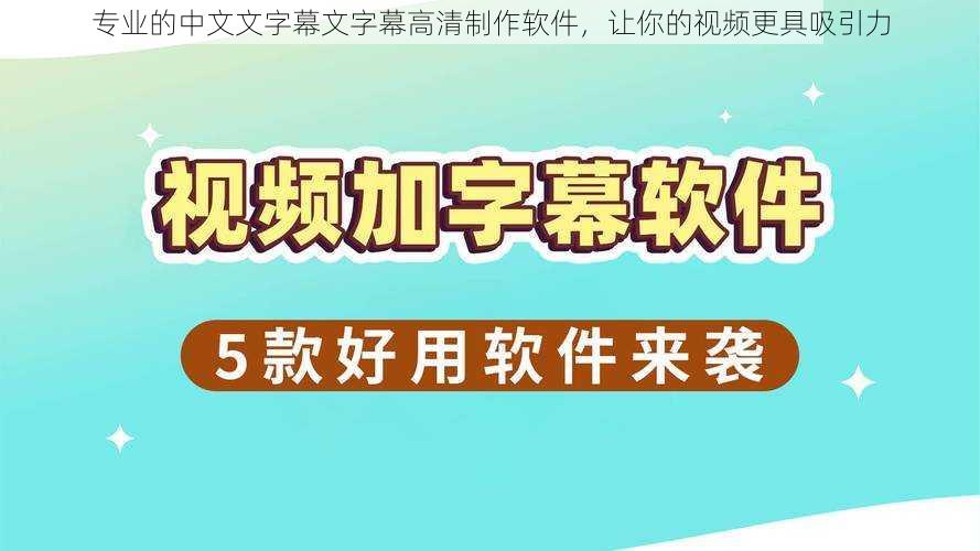 专业的中文文字幕文字幕高清制作软件，让你的视频更具吸引力