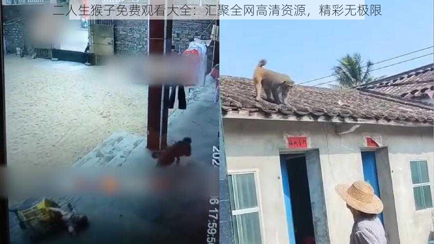 二人生猴子免费观看大全：汇聚全网高清资源，精彩无极限