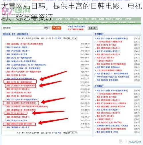 大黄网站日韩，提供丰富的日韩电影、电视剧、综艺等资源