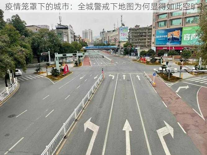 疫情笼罩下的城市：全城警戒下地图为何显得如此空旷？