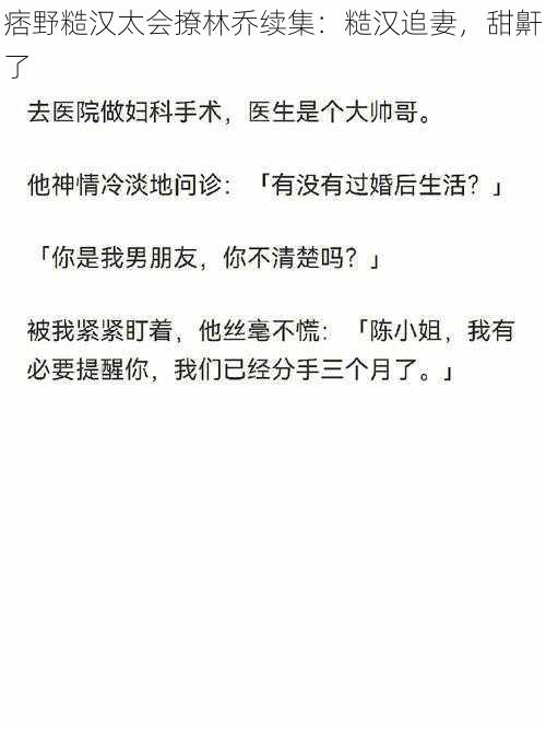 痞野糙汉太会撩林乔续集：糙汉追妻，甜鼾了