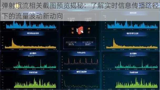 弹射氓流相关截图预览揭秘：了解实时信息传播路径下的流量波动新动向