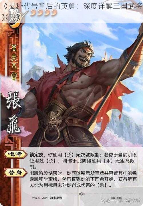 《揭秘代号背后的英勇：深度详解三国武将张飞》