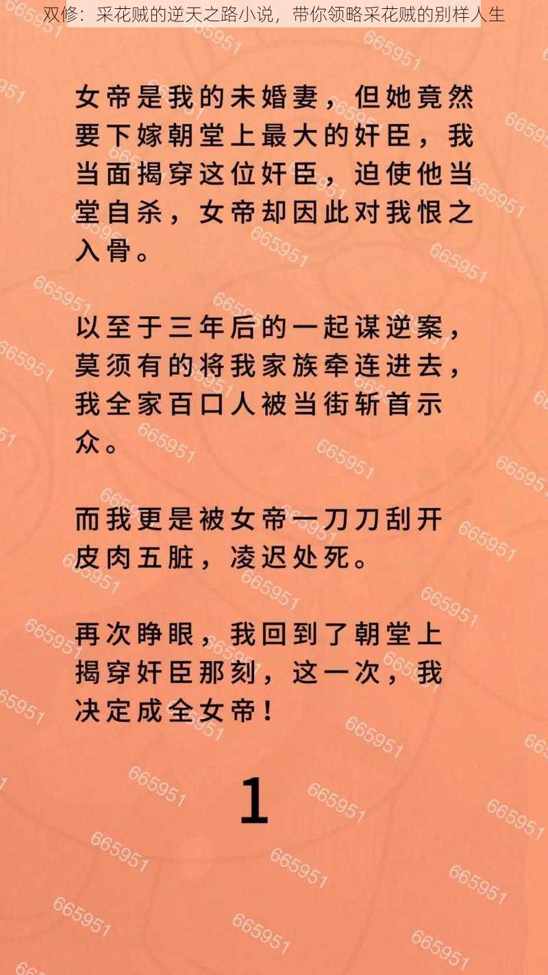 双修：采花贼的逆天之路小说，带你领略采花贼的别样人生