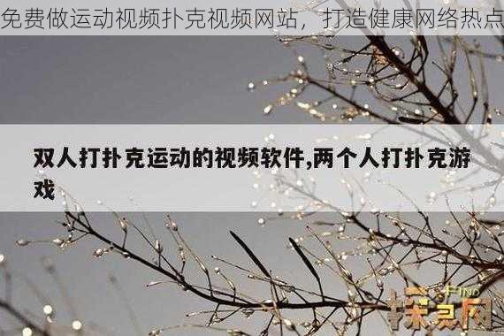 免费做运动视频扑克视频网站，打造健康网络热点