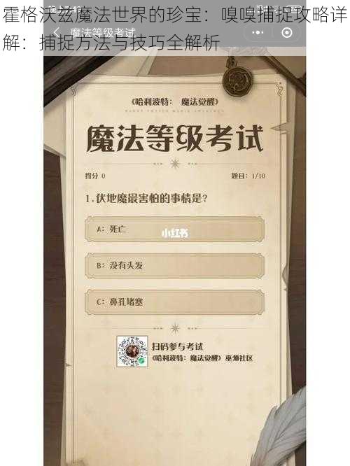 霍格沃兹魔法世界的珍宝：嗅嗅捕捉攻略详解：捕捉方法与技巧全解析