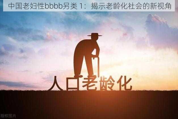 中国老妇性bbbb另类 1：揭示老龄化社会的新视角