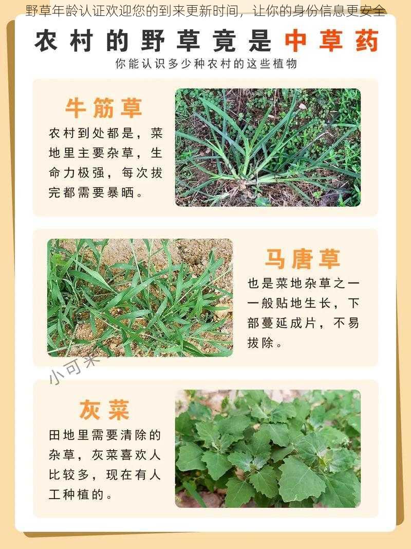 野草年龄认证欢迎您的到来更新时间，让你的身份信息更安全