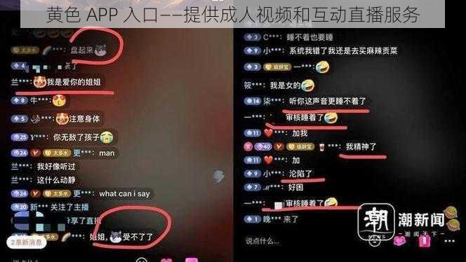 黄色 APP 入口——提供成人视频和互动直播服务