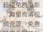 超碰免费电影，海量高清视频资源，免费畅享无限精彩