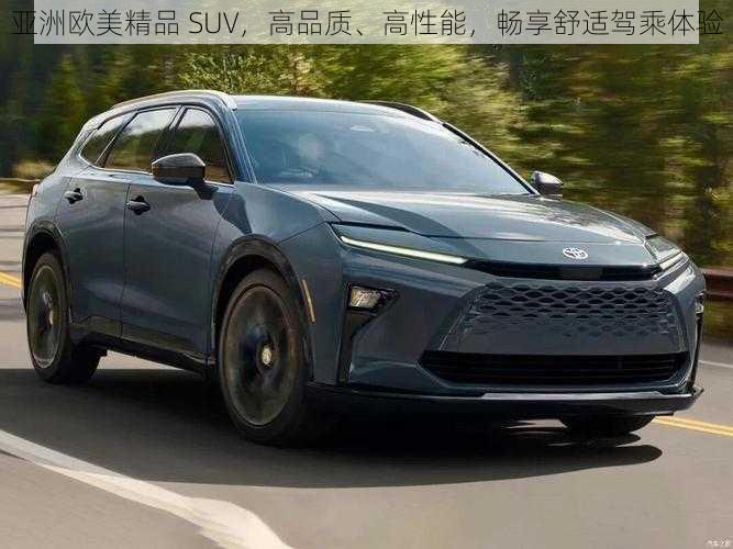 亚洲欧美精品 SUV，高品质、高性能，畅享舒适驾乘体验