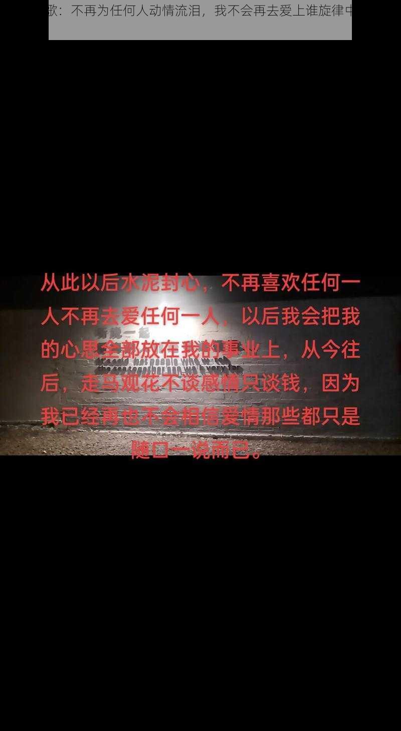 抖音热歌：不再为任何人动情流泪，我不会再去爱上谁旋律中的情感变迁