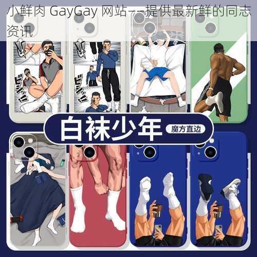 小鲜肉 GayGay 网站——提供最新鲜的同志资讯