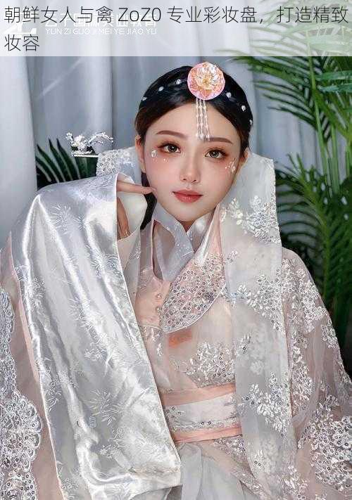 朝鲜女人与禽 ZoZ0 专业彩妆盘，打造精致妆容