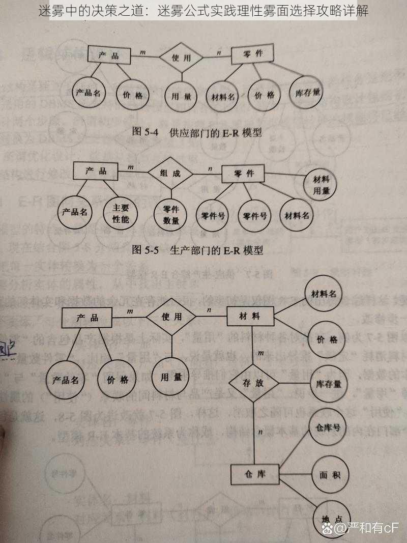 迷雾中的决策之道：迷雾公式实践理性雾面选择攻略详解