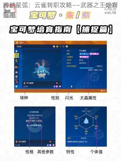 跨越星弧：云雀转职攻略——武器之王培育指南