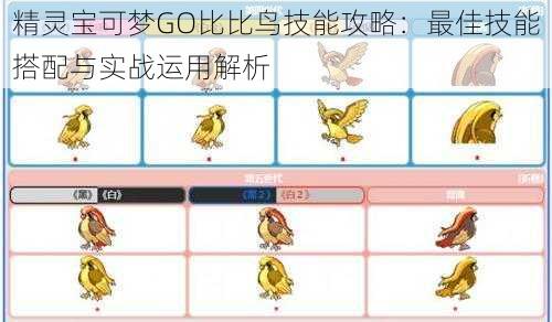 精灵宝可梦GO比比鸟技能攻略：最佳技能搭配与实战运用解析