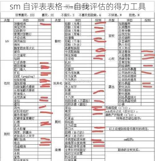 sm 自评表表格——自我评估的得力工具