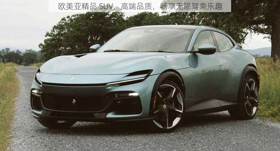 欧美亚精品 SUV，高端品质，畅享无限驾乘乐趣