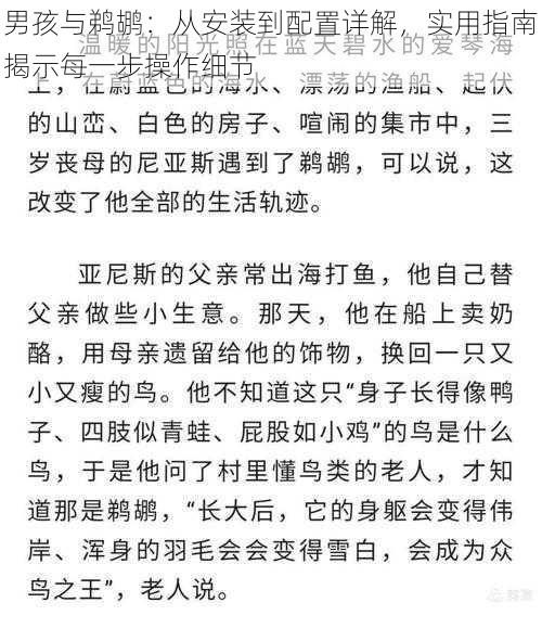 男孩与鹈鹕：从安装到配置详解，实用指南揭示每一步操作细节