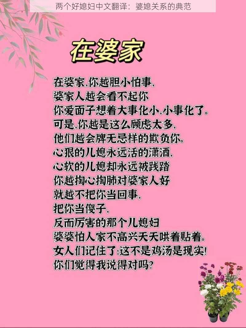 两个好媳妇中文翻译：婆媳关系的典范