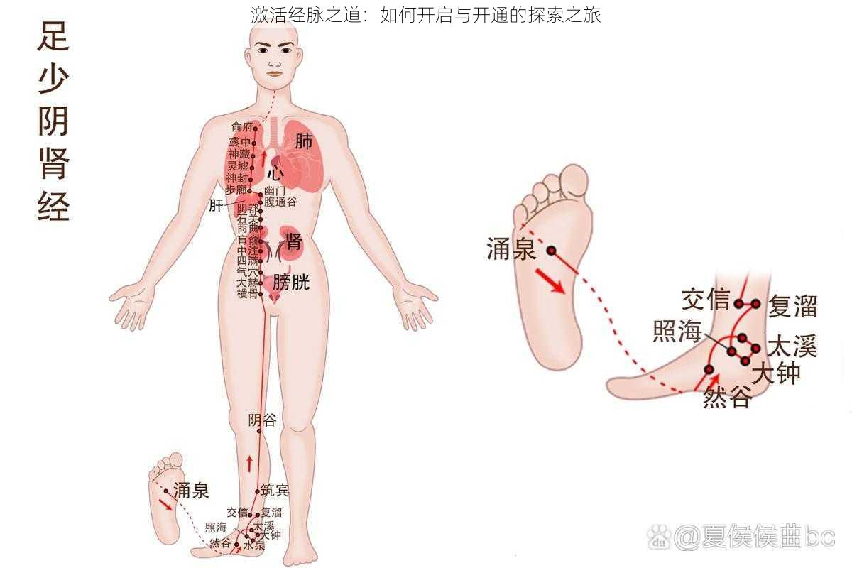 激活经脉之道：如何开启与开通的探索之旅