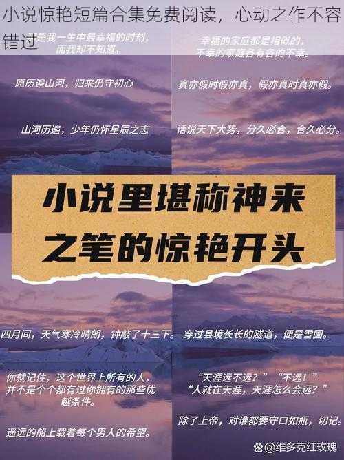 小说惊艳短篇合集免费阅读，心动之作不容错过