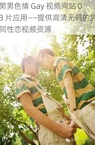 男男色情 Gay 视频网站 03 片应用——提供高清无码的男同性恋视频资源