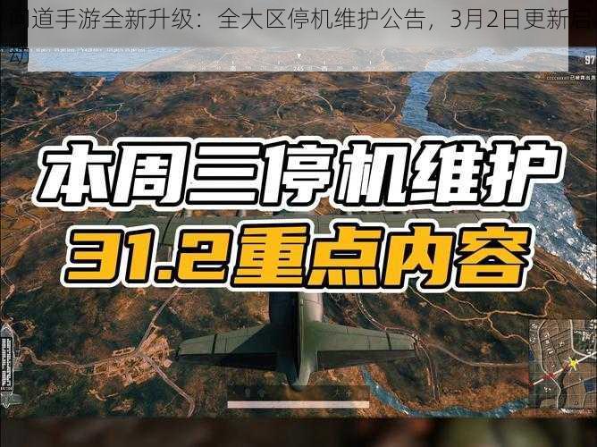 问道手游全新升级：全大区停机维护公告，3月2日更新启动