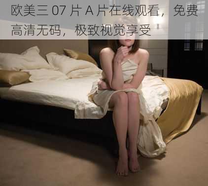 欧美三 07 片 A 片在线观看，免费高清无码，极致视觉享受