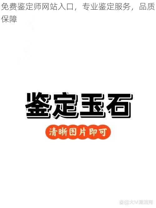 免费鉴定师网站入口，专业鉴定服务，品质保障