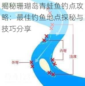 揭秘珊瑚岛青蛙鱼钓点攻略：最佳钓鱼地点探秘与技巧分享