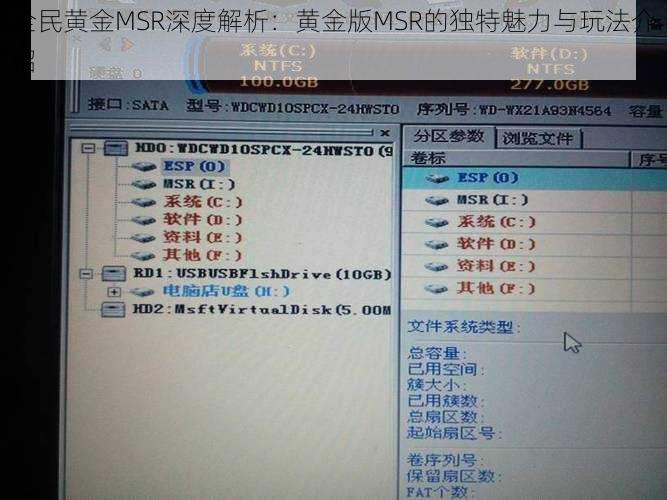 全民黄金MSR深度解析：黄金版MSR的独特魅力与玩法介绍