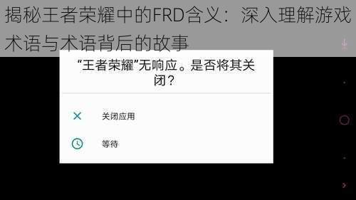 揭秘王者荣耀中的FRD含义：深入理解游戏术语与术语背后的故事