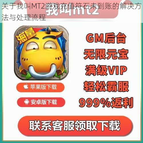 关于我叫MT2游戏充值符石未到账的解决方法与处理流程